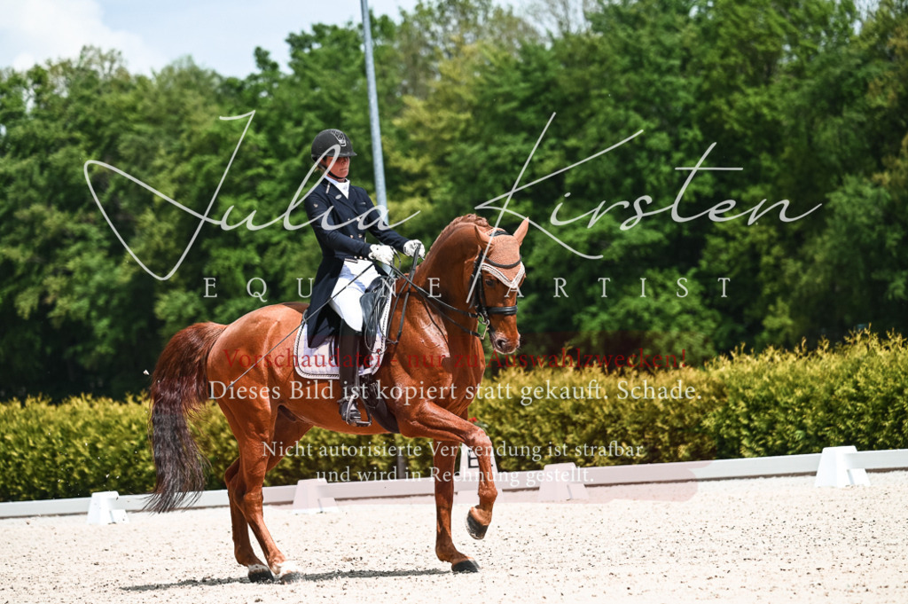 20230514_JK-Röhrsdorf-21-040 | Pferde- und Turnierfotografie in Westsachsen. Pferdeportraits, Auftragszeichnungen und intuitive Kunst.