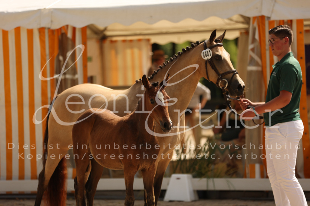 08.DoRPS00004 | Leoni Ertmer Photography - Realisiert mit Pictrs.com