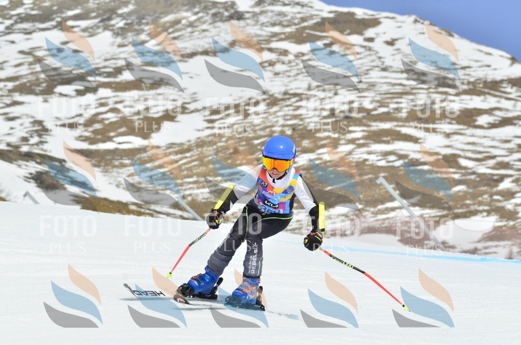 _ELE2820 | holidayphoto