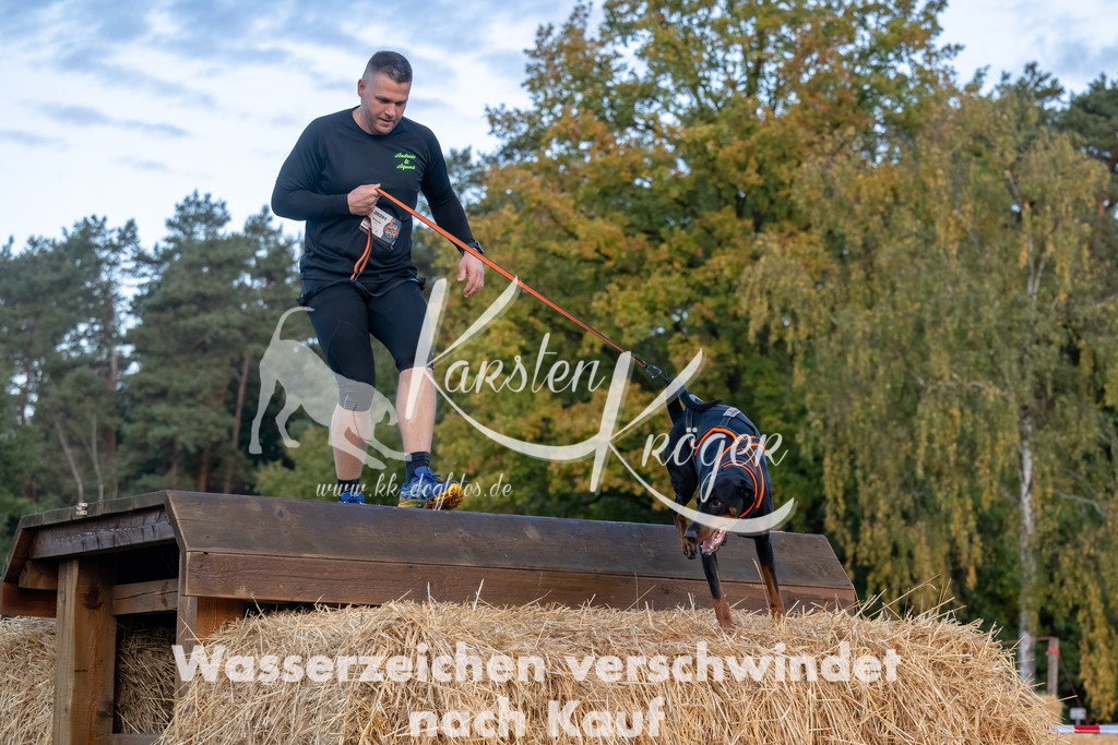 0812_ZZ94808-Bearbeitet | kk-dogfotos