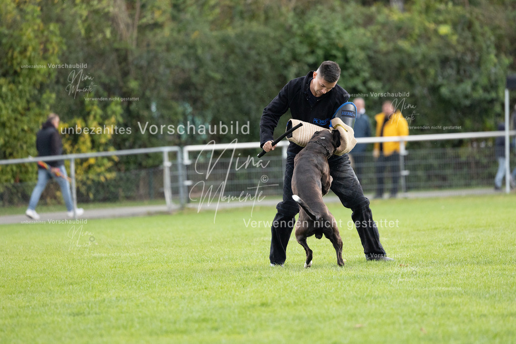 _16A7127 | Einzigartige Fotos von Hunden & Menschen –Actionfotos, Portraits, Vereinsaufnahmen & Paarshootings – authentisch, lebendig & mit Herz.