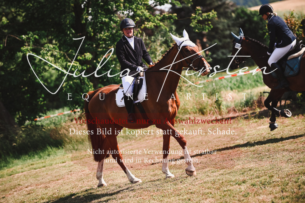 DSC_7320 | Pferde- und Turnierfotografie in Westsachsen. Pferdeportraits, Auftragszeichnungen und intuitive Kunst.