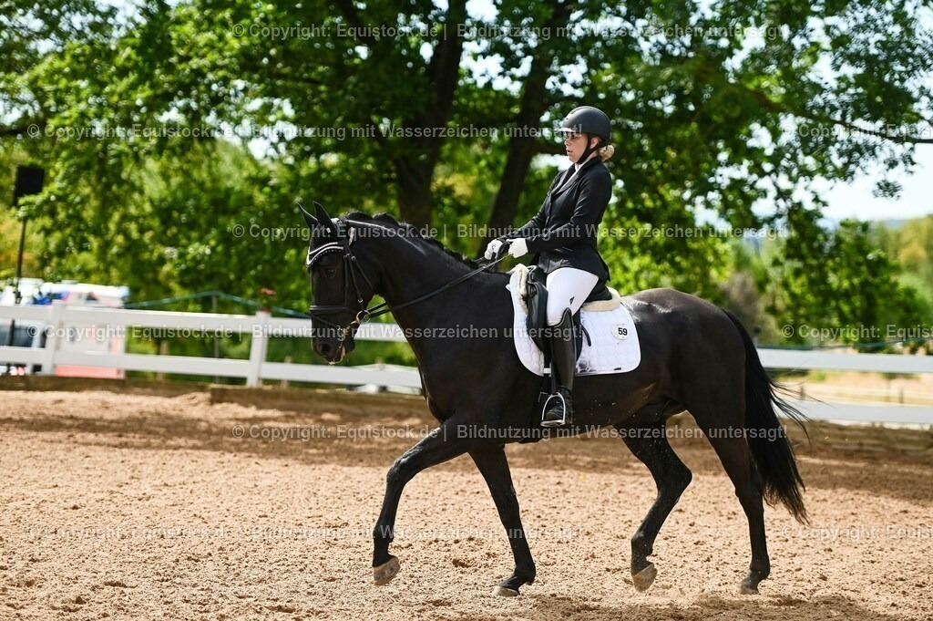 20230715_07_Dressurpferdeprfg. Kl.L_0153 | equistock