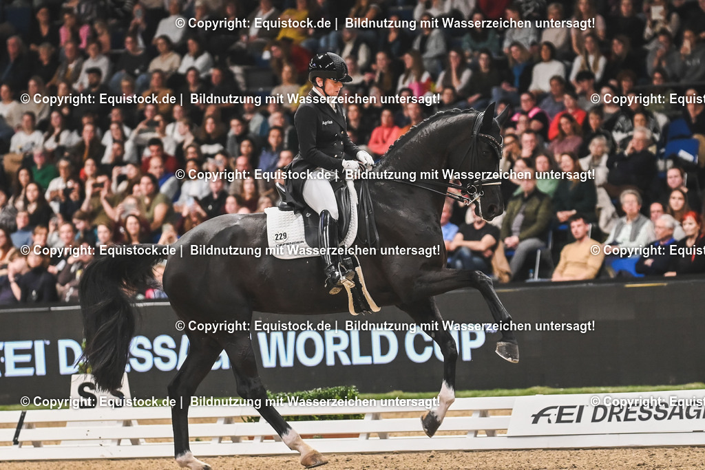 20241116_Dressur-Kür_TOMsPiC_0263 | Foto: Thomas Hartig