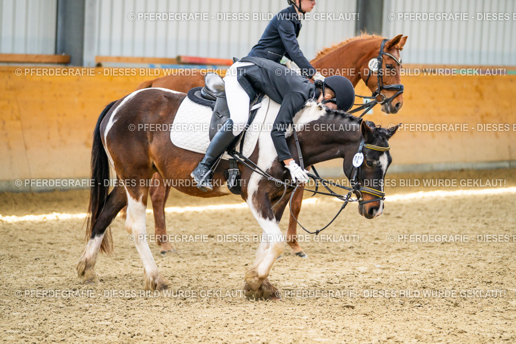 DSC03515 | Pferdegrafie