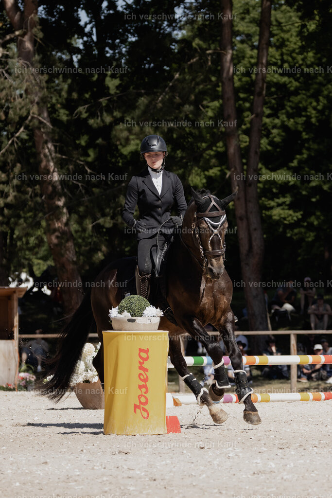 WE_SP_Stoib_309_PI2025_1478 | Pferd International München 2025