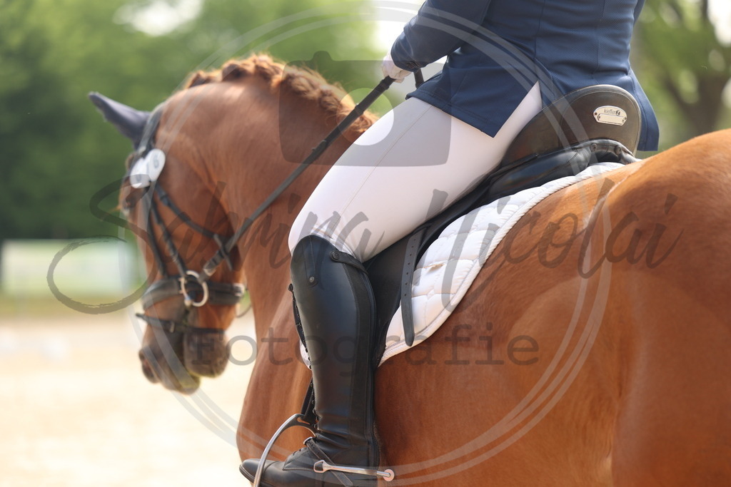 994A6420 | sabrinanicolaifotografie - Realisiert mit Pictrs.com