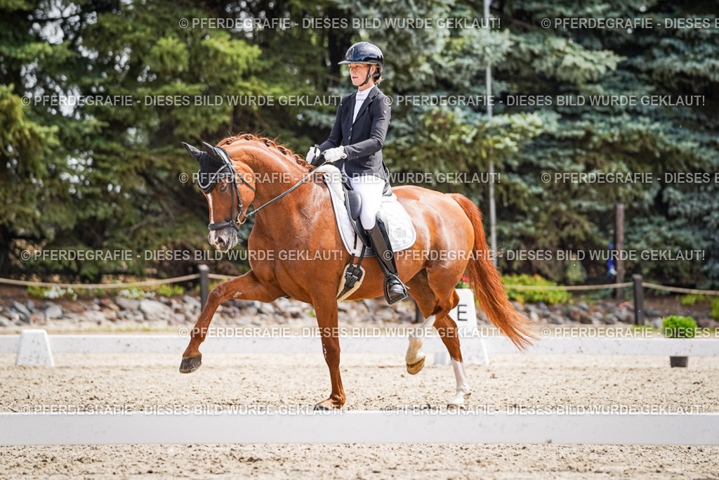 DSC00007 | Pferdegrafie