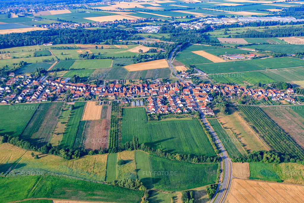 Luftbild: Ortsansicht von Norden in Erlenbach bei Kandel im Bundesland Rheinland-Pfalz in Deutschland. Foto: IMG_69753.jpg vom 04.07.2014 durch Werner Riehm/FLY-FOTO.deAuflösung des Originals: 4752 x 3168 px