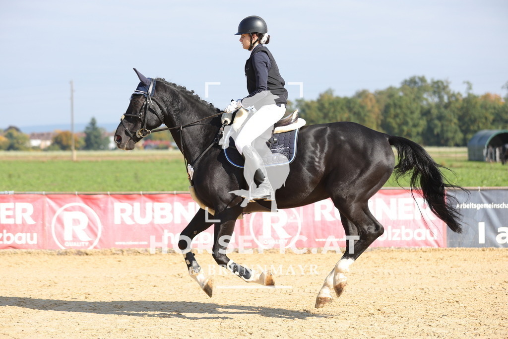 0P6A8049 | Willkommen bei Brunnmayr - Design & Fotografie – Ihrem Spezialisten für Reitturniere und Pferdeveranstaltungen in Oberösterreich, Salzburg und Bayern! Seit über 17 Jahren sind wir leidenschaftlich dabei.
