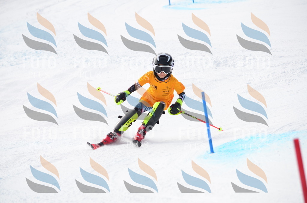 C8162 | holidayphoto