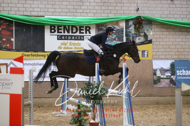 IMG_0591 | Turnierfotos kaufen im Webshop von Daniel Kuhl Photography – entdecke professionelle Reitsportfotos aus Turnieren & Events. Hochwertige Turnierbilder online bestellen & sichern. Jetzt Fotos von Reitsportturnieren kaufen!