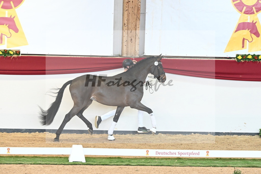 Kat.-Nr. 71 v. Va Bene_Müller_2240954 | hf-fotografie - Realisiert mit Pictrs.com