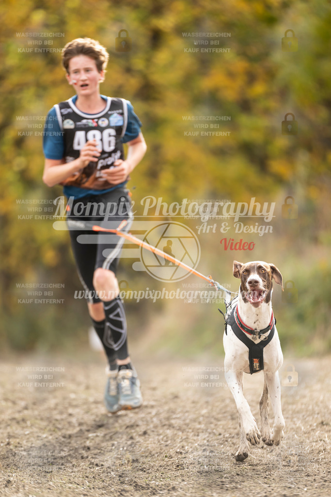 MompixPhotography_ICF_WC_2024_SA_Run_-508 | PayLife