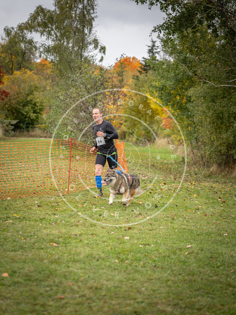 Pfotenfotografie_DV3A3120 | Hundefotografie, Tierfotograf, Pfotenfotografie, Fotoshooting Hund, Hunde Portrait, Hundesport, Hundeportraits, Heideshooting, Hunde, Sportfotograf, Hundefotograf, Turnierhundsport, THS,  - Realisiert mit Pictrs.com