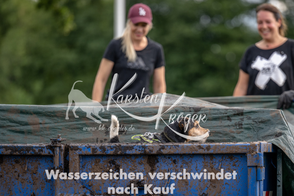 1141_ZZ91155 | kk-dogfotos