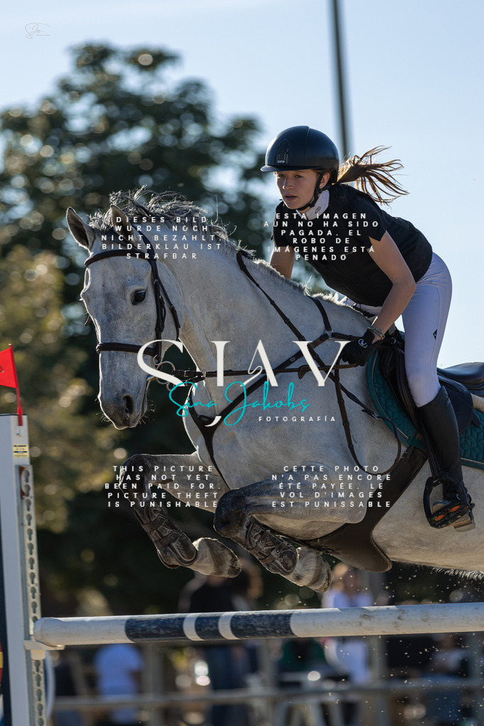 IMG_2168 | s-jay-photography - Realisiert mit Pictrs.com