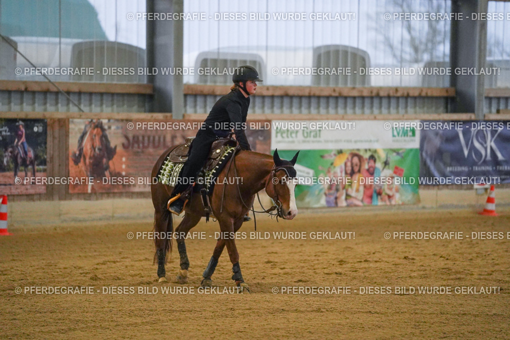 DSC09578 | Pferdegrafie