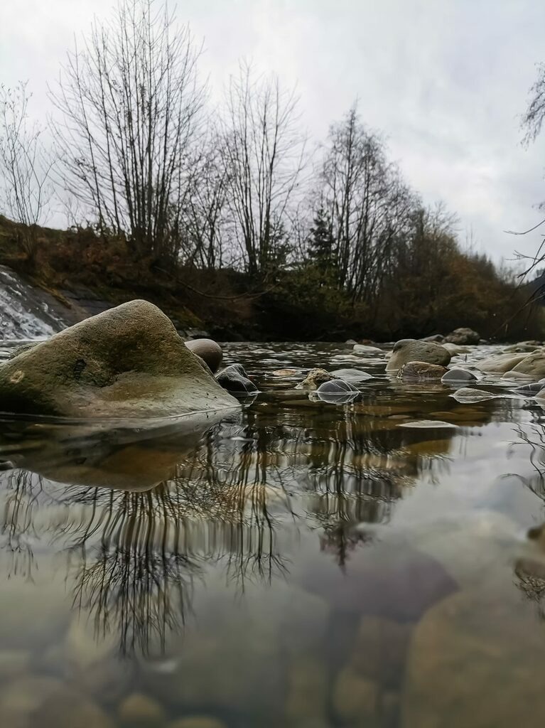 PSX_20221114_234252 | mtkfoto_ - Realisiert mit Pictrs.com