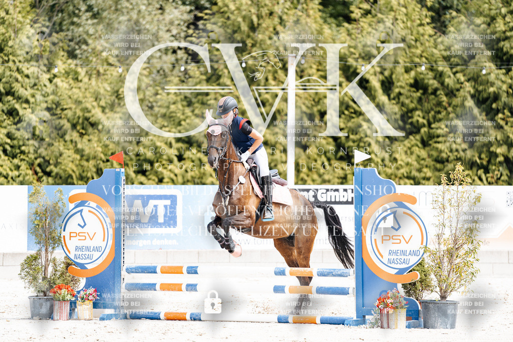 CK906677 | Turnierfotografie Pferdefotografie Trier Rheinland-Pfalz Pferdesport Reitsport Tierfotografie Sportfotografie Pferdevideo Pferdevideografie Equestrianvideography equestrianphotography  - Realisiert mit Pictrs.com