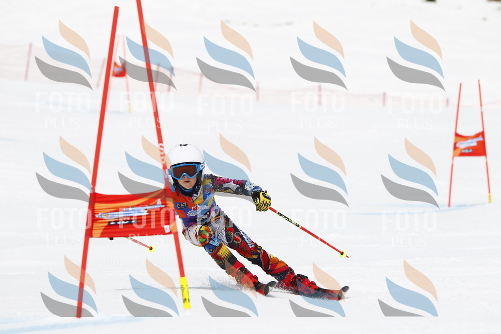 _U3G7737 | holidayphoto