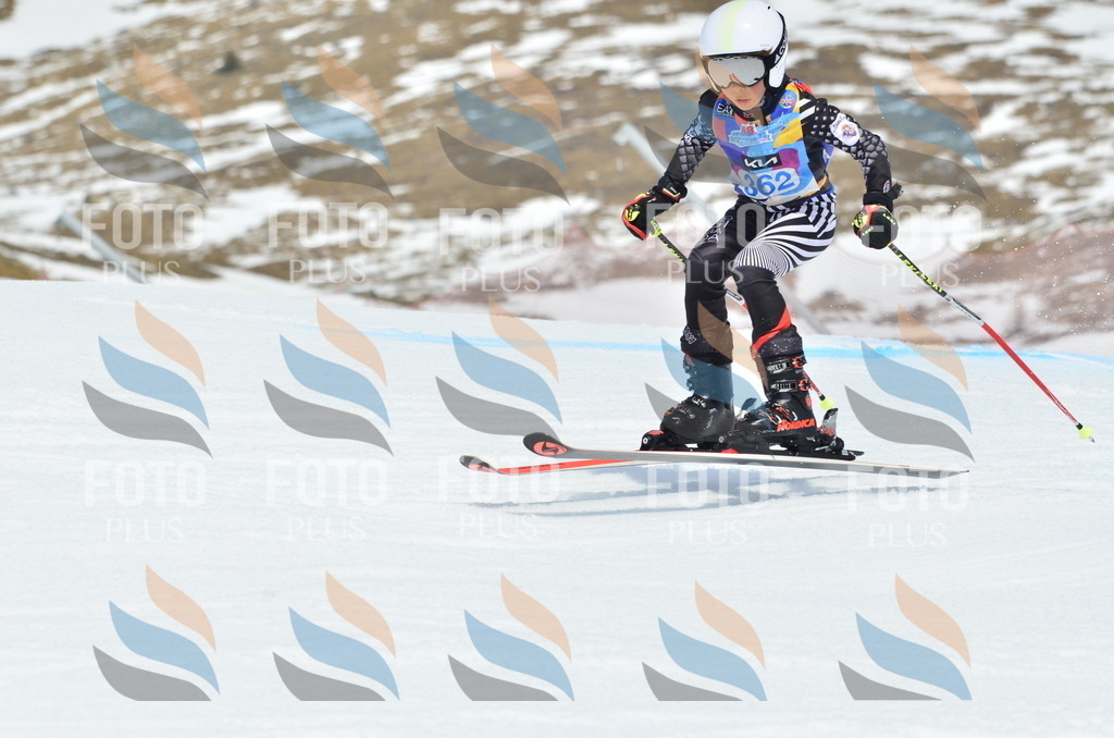 _ELE2883 | holidayphoto