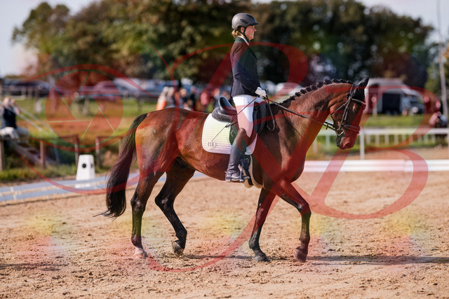 2026_10_03_Siefer-Hof_122808_Z81_26364777 | Professionelle Reitsport-, Turnier- und Eventfotografie von Robert Broda. Galerien mit ausgewählten und bearbeiteten Bildern direkt online ansehen und bestellen.