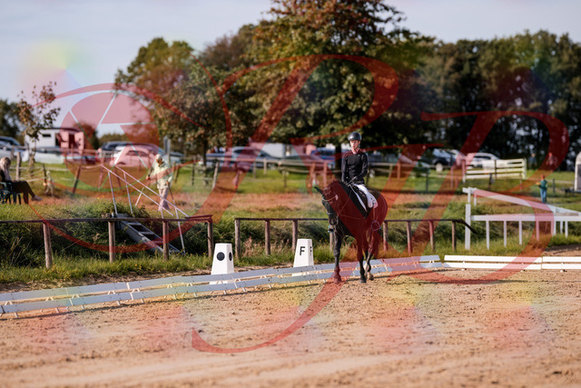 2026_10_03_Siefer-Hof_115626_Z81_97331875 | Professionelle Reitsport-, Turnier- und Eventfotografie von Robert Broda. Galerien mit ausgewählten und bearbeiteten Bildern direkt online ansehen und bestellen.