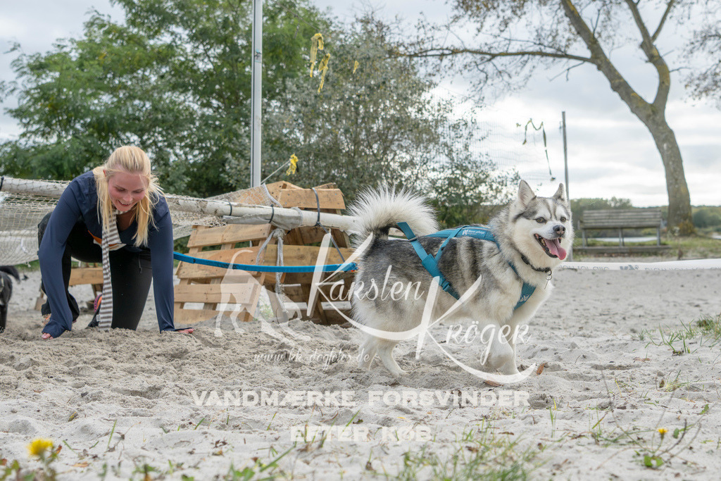 1520_ZZ94510 | kk-dogfotos