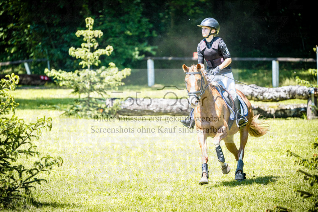 2026-05 - Melle Oldendorf | Entdecke hochwertige Reitturnierfotos von Foto Oger. Professionell, emotional und authentisch – jetzt Lieblingsmomente im Shop bestellen.Deutschlandweite Turnierfotografie. - Realisiert mit Pictrs.com