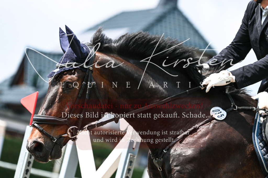 DSC_8913 | Pferde- und Turnierfotografie in Westsachsen. Pferdeportraits, Auftragszeichnungen und intuitive Kunst.