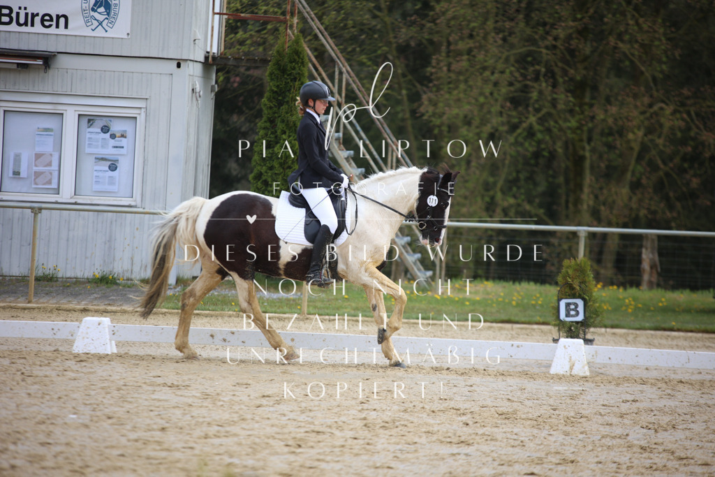 IMGT4053 | pl-fotografie