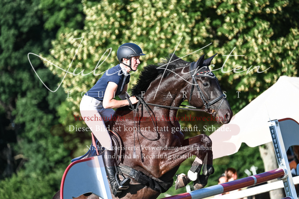 DSC_3081 | Pferde- und Turnierfotografie in Westsachsen. Pferdeportraits, Auftragszeichnungen und intuitive Kunst.
