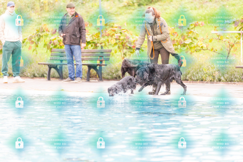 _HP_7229_1000o | HetPix, HetPix Fotodesign, Fotografie, Fotodesign, Webshop, Sportfotografie, Portraitfotografie, Onlineshop, Sportfotografie, Polch, Motorsportfotografie, Eventfotografie