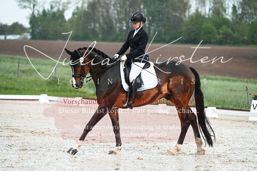 DSC_4170 | Pferde- und Turnierfotografie in Westsachsen. Pferdeportraits, Auftragszeichnungen und intuitive Kunst.
