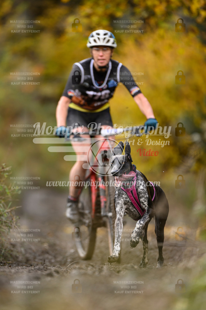 MompixPhotography_ICF_WC_2024_SA_Bike_-257 | PayLife