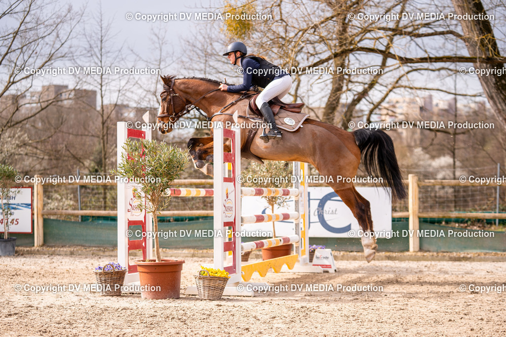 Kranichstein Tag 2-367 | dv-media-shop - Realisiert mit Pictrs.com