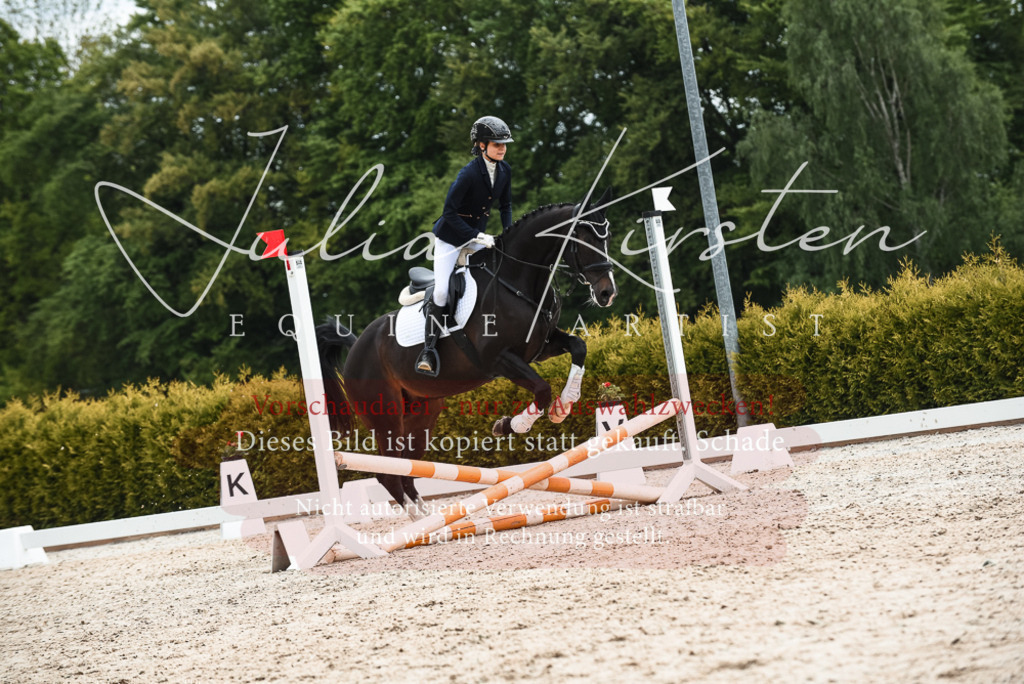 20230518_JK-Röhrsdorf-10-484 | Pferde- und Turnierfotografie in Westsachsen. Pferdeportraits, Auftragszeichnungen und intuitive Kunst.