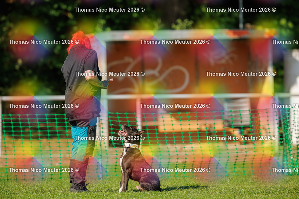Thomas_Nico_Meuter(C)_04. Oktober 2026_223A2354 | Bild von Thomas Nico Meuter - Realisiert mit Pictrs.com