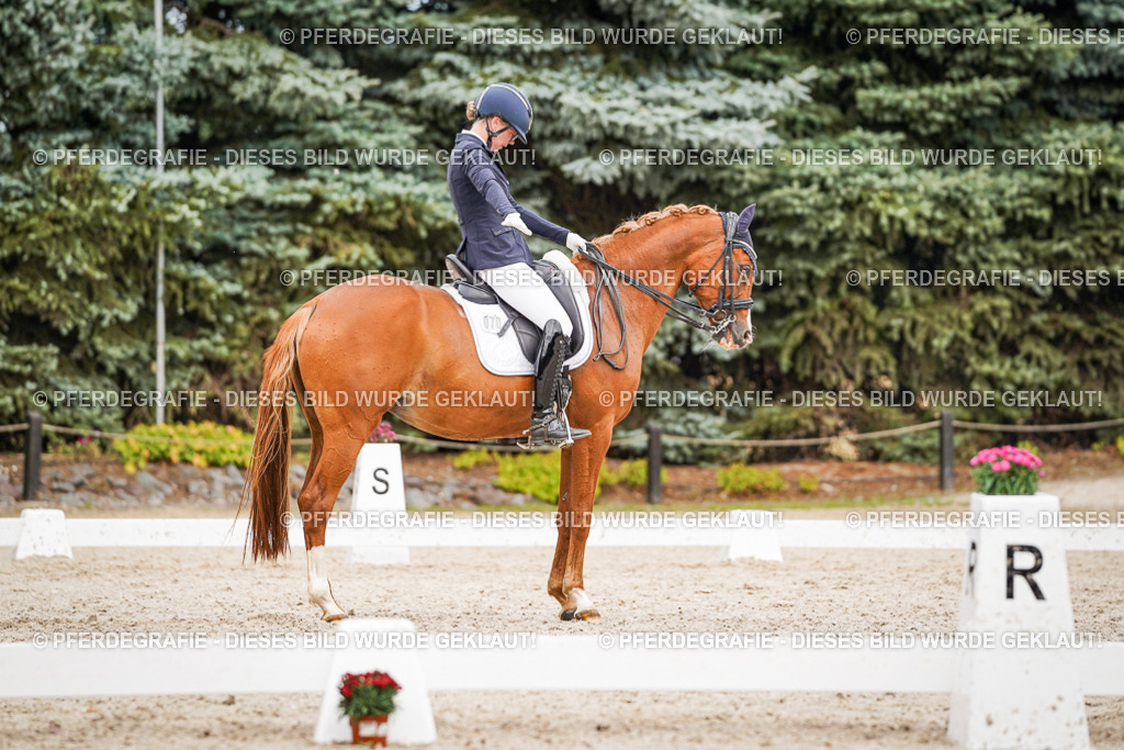 DSC07115 | Pferdegrafie