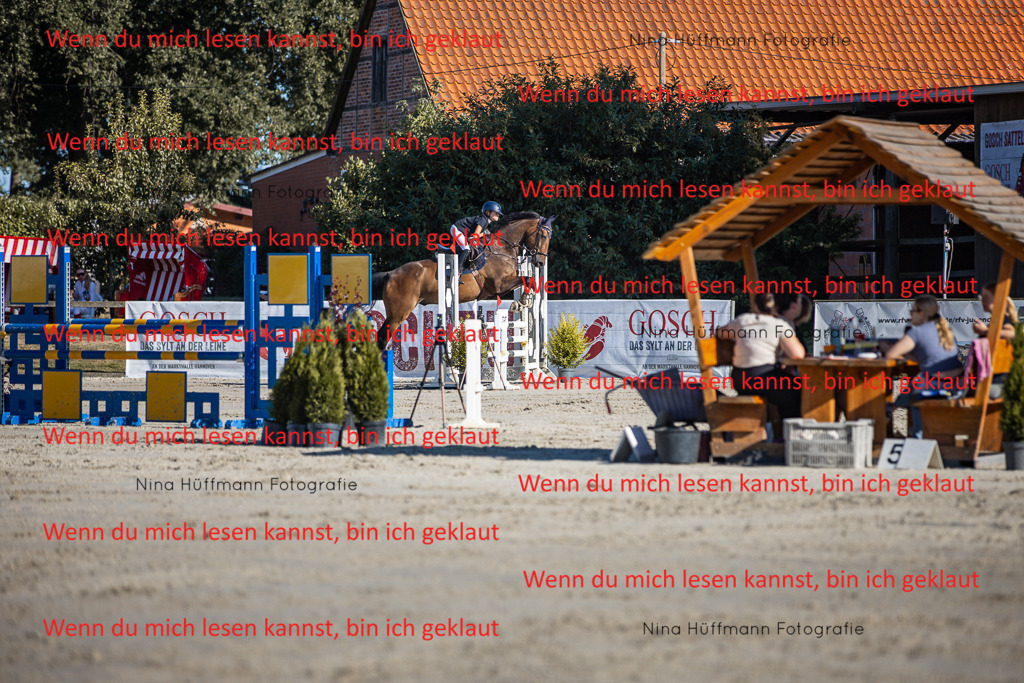BK1A7444 | Turnierbilder Turnierfotos Nina Hüffmann Turnierfotografie Pferdefotografie Tierzeichnung Haustierzeichnung Pferdezeichnung Hundezeichnung Videograf  - Realisiert mit Pictrs.com