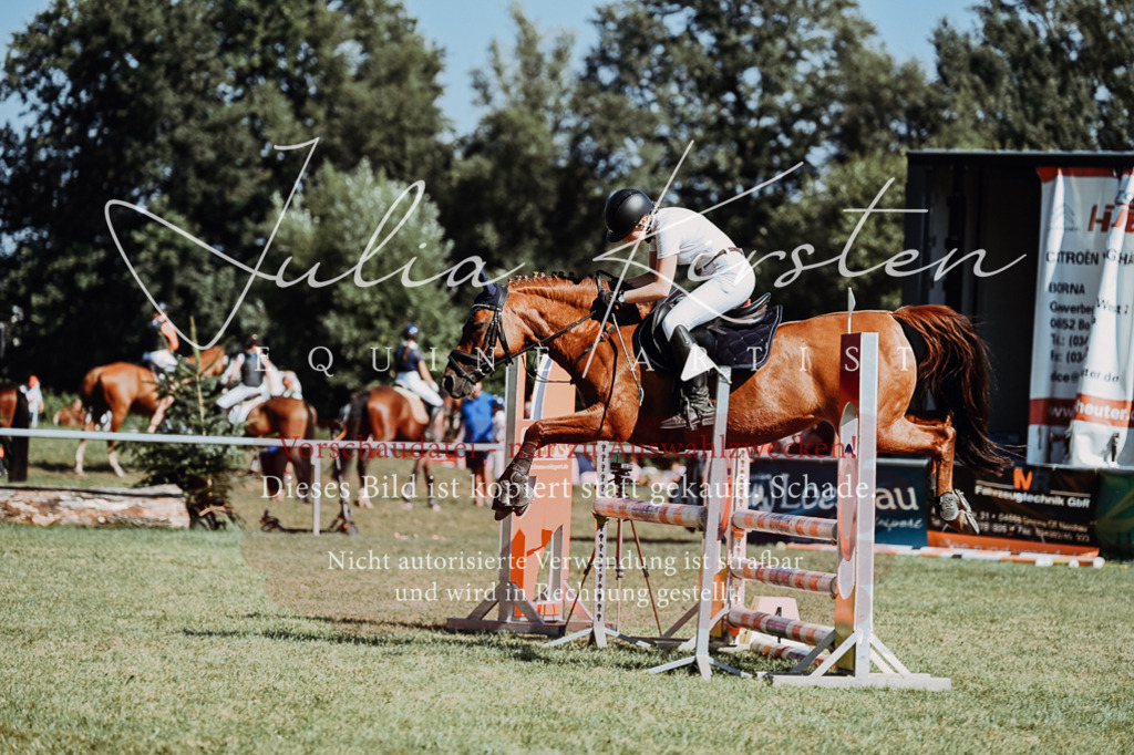 DSC_6888 | Pferde- und Turnierfotografie in Westsachsen. Pferdeportraits, Auftragszeichnungen und intuitive Kunst.
