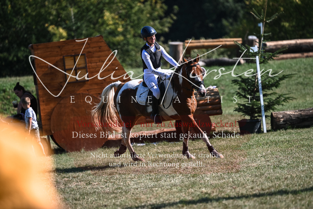 DSC_7032 | Pferde- und Turnierfotografie in Westsachsen. Pferdeportraits, Auftragszeichnungen und intuitive Kunst.