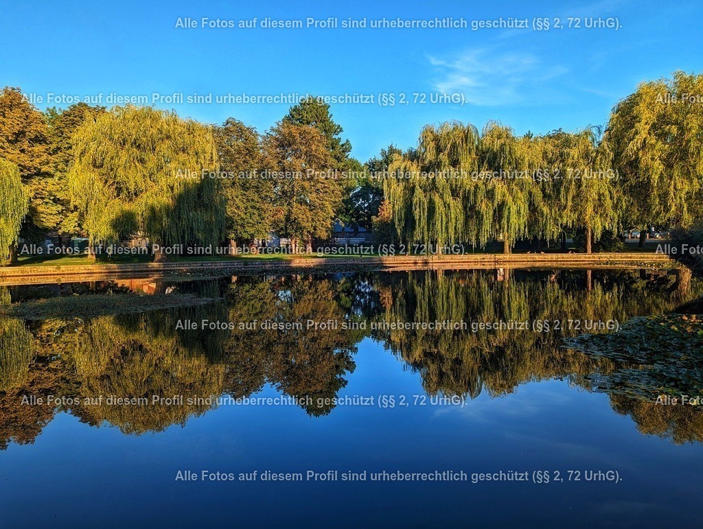 PXL_20230916_161218716-01 | krollfotografie - Realisiert mit Pictrs.com