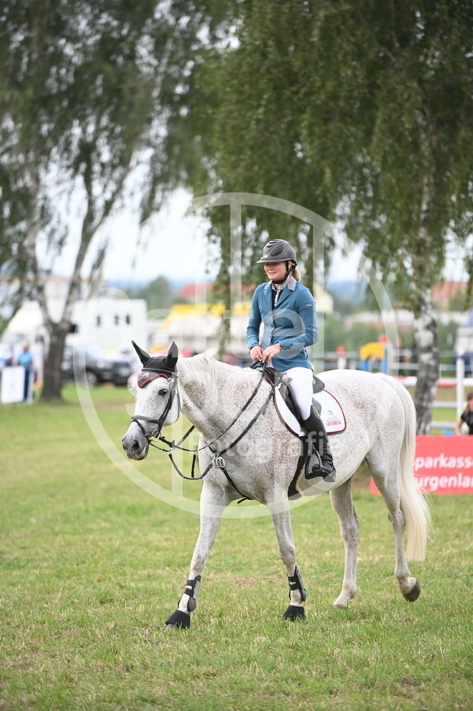 DSC_4099 | sattelsport - Realisiert mit Pictrs.com