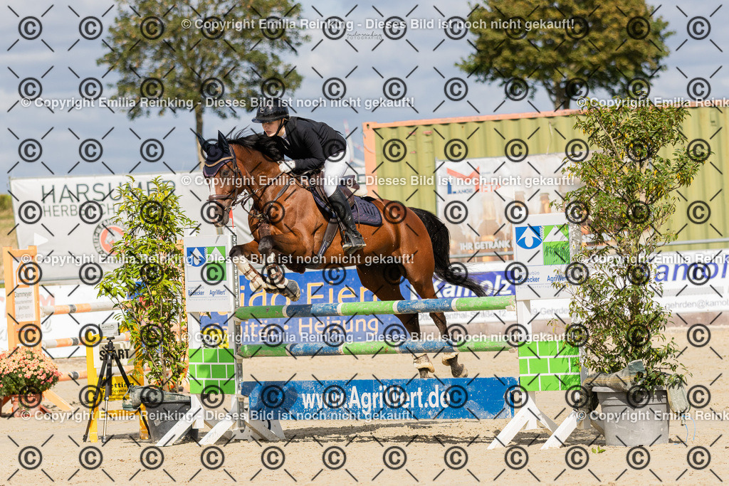 CL5A1510 | Emilia Reinking Fotografie - Realisiert mit Pictrs.com