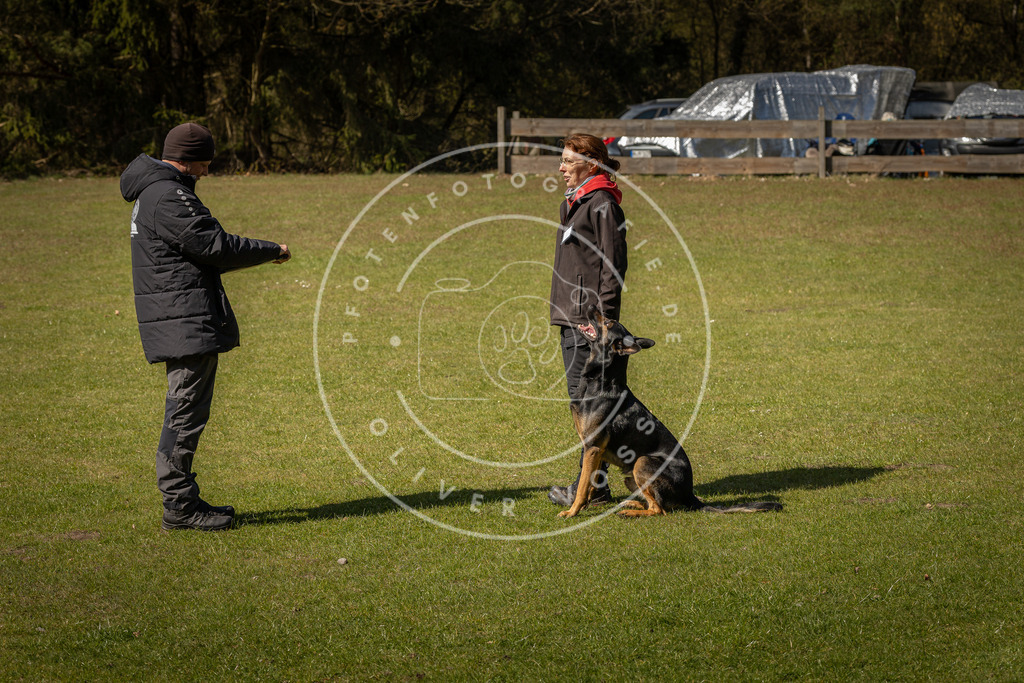 Pfotenfotografie_DV3A0909 | Hundefotografie, Tierfotograf, Pfotenfotografie, Fotoshooting Hund, Hunde Portrait, Hundesport, Hundeportraits, Heideshooting, Hunde, Sportfotograf, Hundefotograf, Turnierhundsport, THS,  - Realisiert mit Pictrs.com