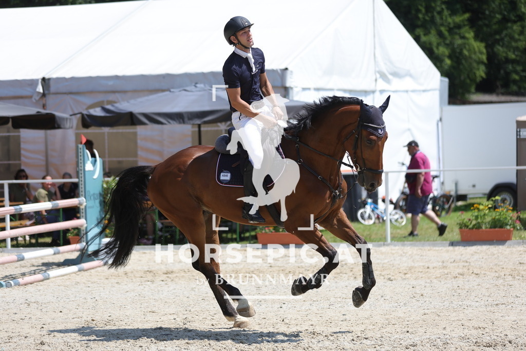 0P6A9401 | Willkommen bei Brunnmayr - Design & Fotografie – Ihrem Spezialisten für Reitturniere und Pferdeveranstaltungen in Oberösterreich, Salzburg und Bayern! Seit über 17 Jahren sind wir leidenschaftlich dabei.