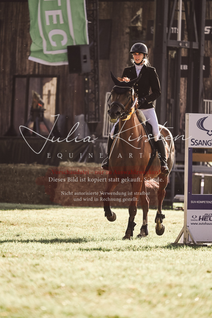 DSC_4584 | Pferde- und Turnierfotografie in Westsachsen. Pferdeportraits, Auftragszeichnungen und intuitive Kunst.