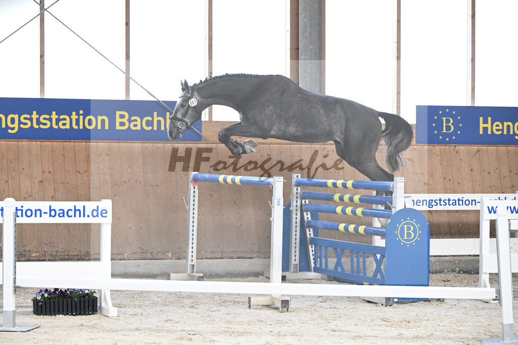 Kat-Nr. 91 Radetsky S v. El Torreo de Muze_KES Kreidl_5251728 | hf-fotografie - Realisiert mit Pictrs.com